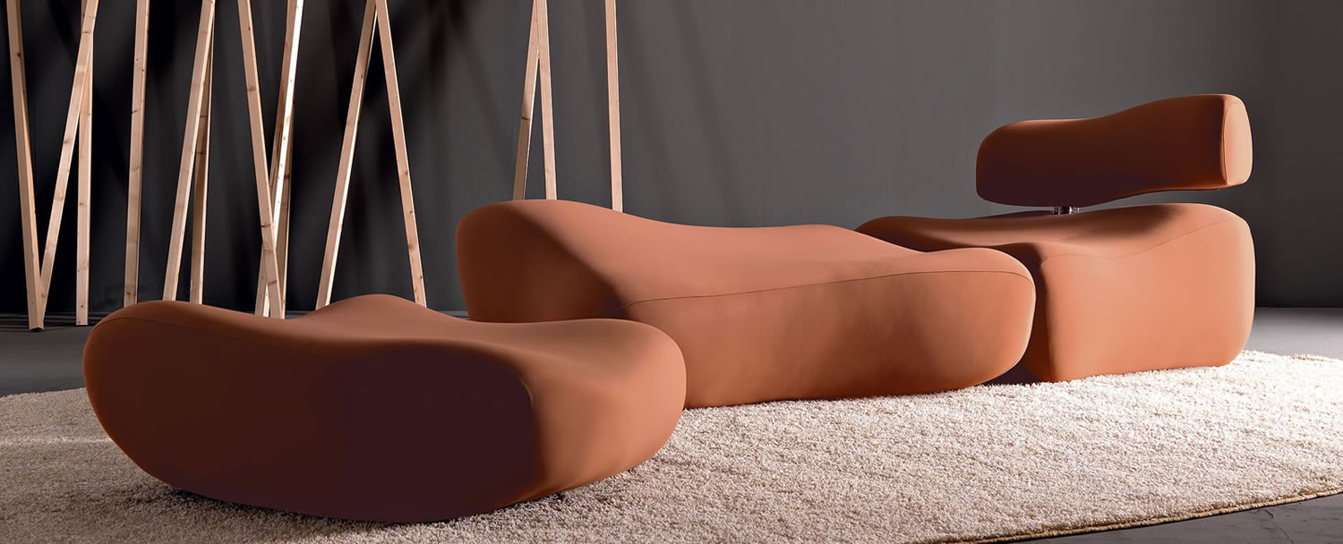 MORFO Collection