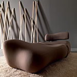 MORFO Collection