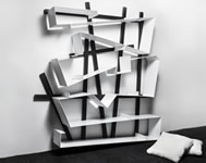 DREAM Collection