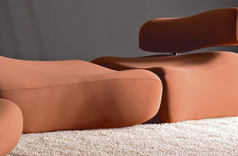 MORFO Collection